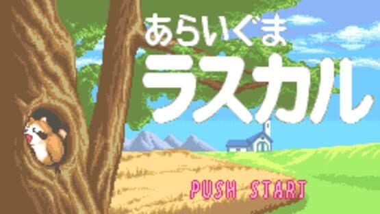 Raccoon Rascal screenshot 1