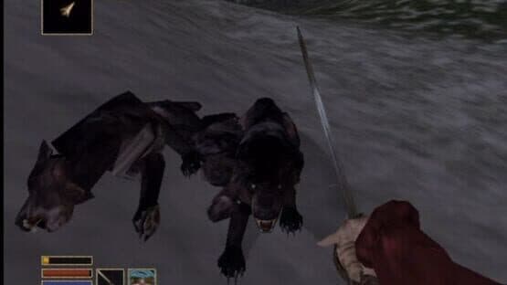 The Elder Scrolls Anthology screenshot 4