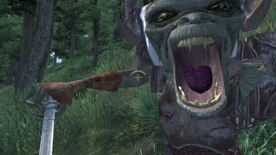 The Elder Scrolls IV: Oblivion 5th Anniversary Edition screenshot 3