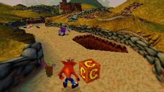 Crash Bandicoot Collectors' Edition screenshot 1
