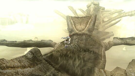 Shadow of the Colossus screenshot 5