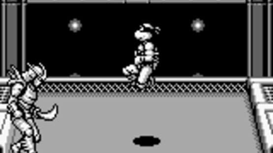 Teenage Mutant Ninja Turtles II: Back from the Sewers screenshot 9