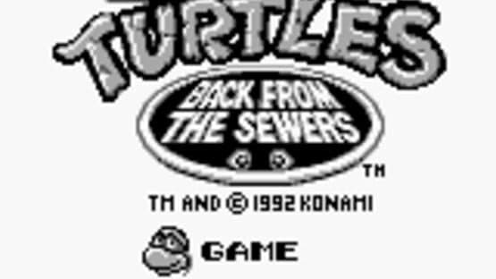 Teenage Mutant Ninja Turtles II: Back from the Sewers screenshot 11