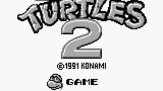 Teenage Mutant Ninja Turtles II: Back from the Sewers screenshot 12