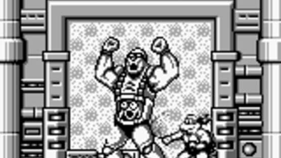 Teenage Mutant Ninja Turtles: Fall of the Foot Clan screenshot 10