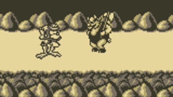 Battletoads screenshot 3
