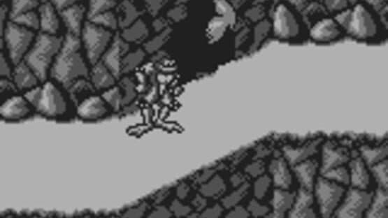 Battletoads screenshot 9