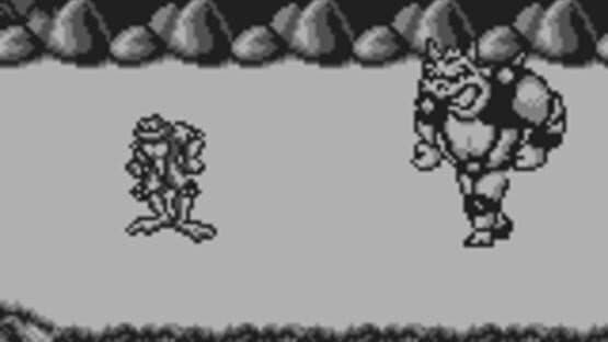 Battletoads screenshot 10