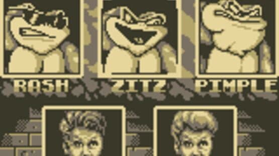 Battletoads / Double Dragon screenshot 1