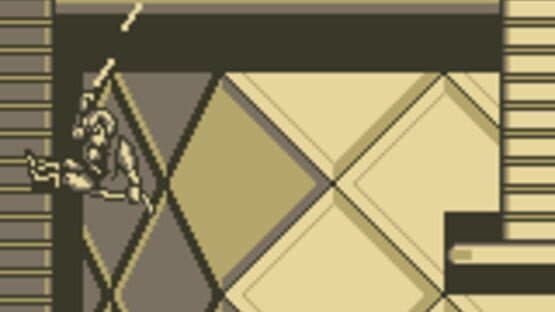 Battletoads / Double Dragon screenshot 8