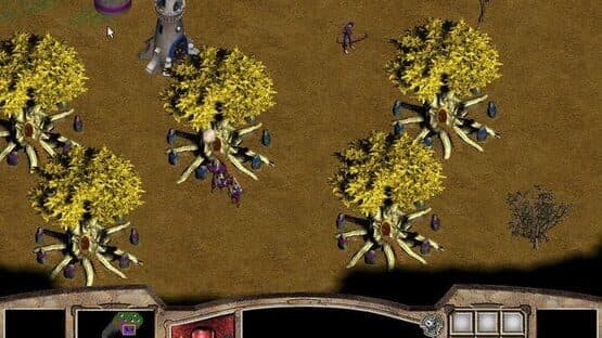 Warlords Battlecry screenshot 3