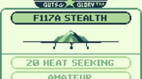 Top Gun: Guts and Glory screenshot 2