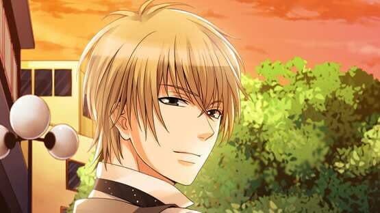 My Forged Wedding screenshot 3