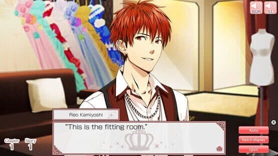 Princess Closet screenshot 3