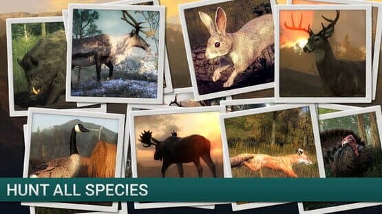 TheHunter Classic: Duck Hunter screenshot 2