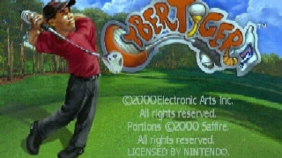 Cyber Tiger screenshot 2