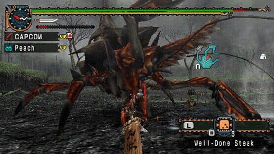 Monster Hunter Dual Pack screenshot 3