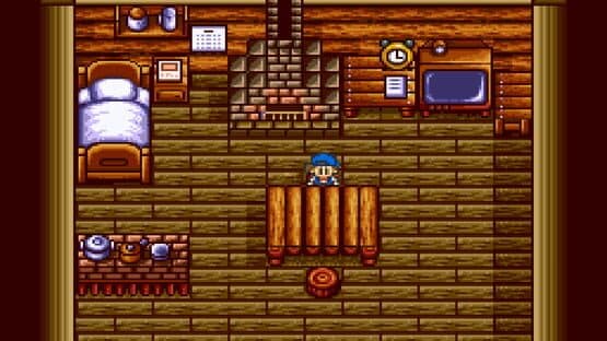 BS Bokujou Monogatari screenshot 3