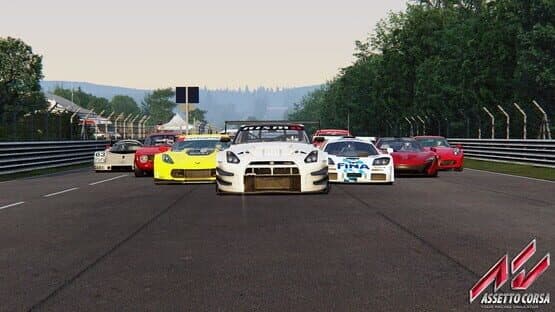 Assetto Corsa: Ultimate Edition screenshot 1
