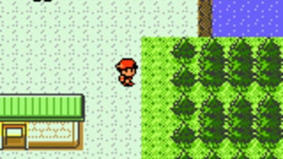 Pokémon Silver Version screenshot 2
