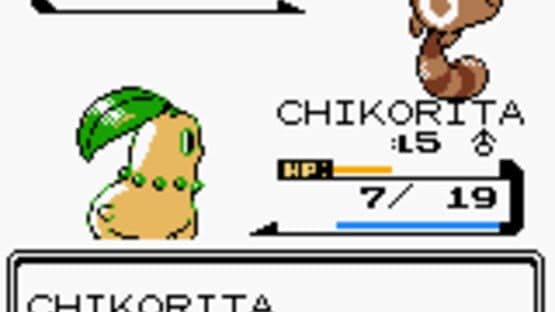 Pokémon Silver Version screenshot 3