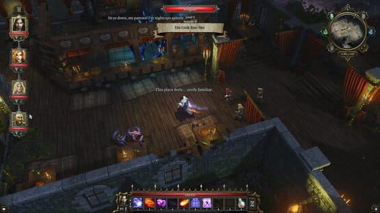 Divinity: Original Sin - Enhanced Edition Collector's Edition screenshot 4