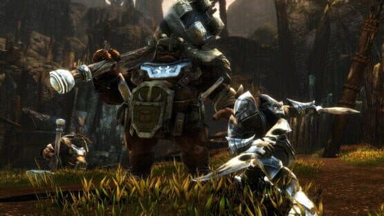 Kingdoms of Amalur: Re-Reckoning - Fate Edition screenshot 4