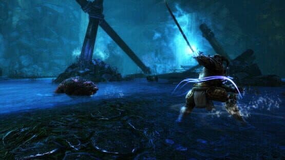 Kingdoms of Amalur: Re-Reckoning - Fate Edition screenshot 5