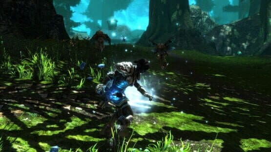Kingdoms of Amalur: Re-Reckoning - Fate Edition screenshot 3