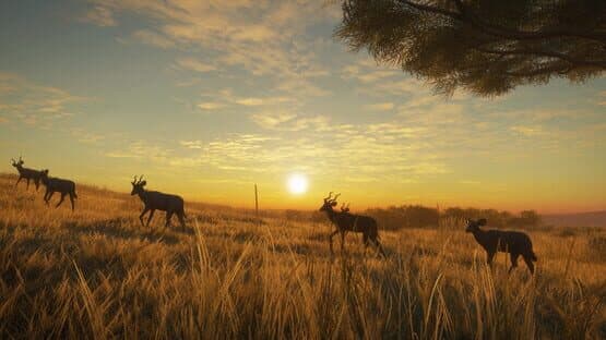TheHunter: Call of the Wild - Vurhonga Savanna screenshot 7