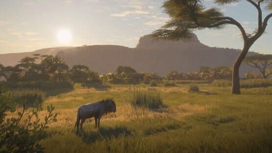 TheHunter: Call of the Wild - Vurhonga Savanna screenshot 8