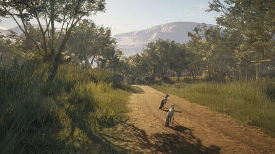 TheHunter: Call of the Wild - Vurhonga Savanna screenshot 11