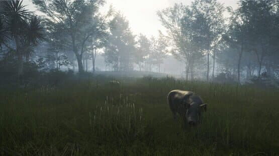 TheHunter: Call of the Wild - Te Awaroa National Park screenshot 10