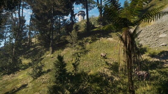 TheHunter: Call of the Wild - Te Awaroa National Park screenshot 3