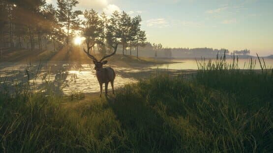 TheHunter: Call of the Wild - Te Awaroa National Park screenshot 12