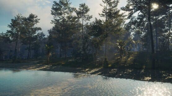 TheHunter: Call of the Wild - Te Awaroa National Park screenshot 8
