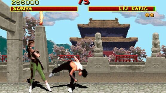 Mortal Kombat 1+2+3 screenshot 4
