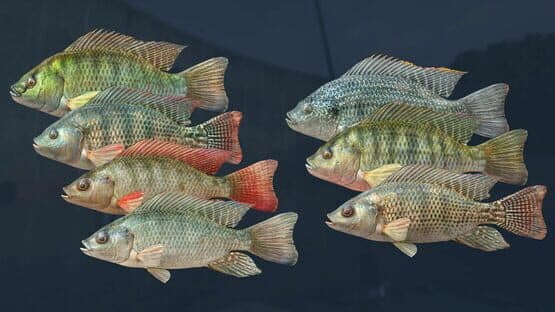 Ultimate Fishing Simulator: Kariba Dam screenshot 4