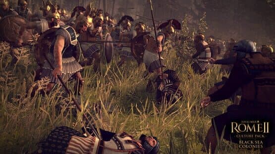 Total War: Rome II - Culture Pack: Black Seas Colonies screenshot 3