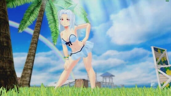 Senran Kagura: Peach Beach Splash - Awakened Character Pack screenshot 7