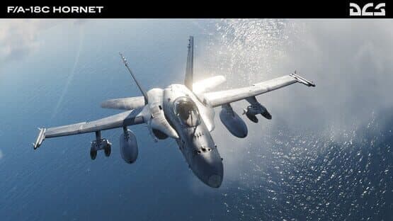 DCS World: F/A-18C Hornet screenshot 17