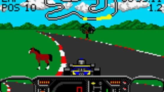 Checkered Flag screenshot 4