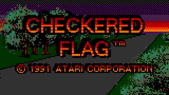 Checkered Flag screenshot 5