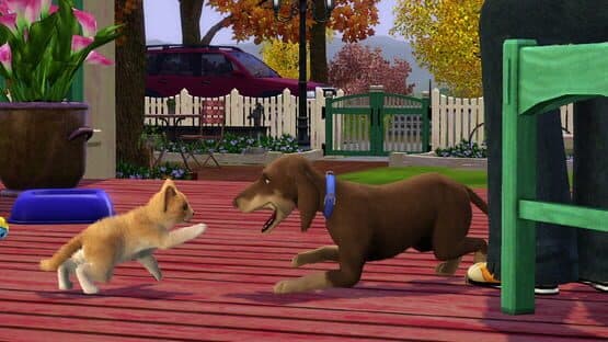 The Sims 3: Pets screenshot 7