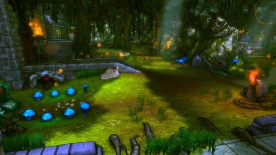 Dungeon Defenders: Quest for the Lost Eternia Shards Part 1 screenshot 1