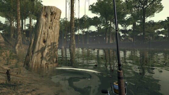 Ultimate Fishing Simulator: Amazon River DLC screenshot 5