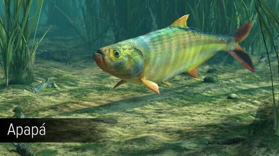 Ultimate Fishing Simulator: Amazon River DLC screenshot 7