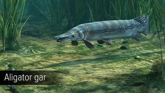 Ultimate Fishing Simulator: Amazon River DLC screenshot 8