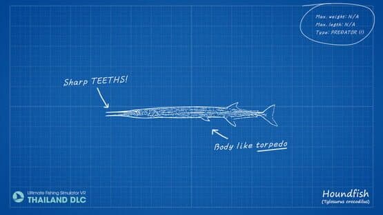 Ultimate Fishing Simulator: Thailand DLC screenshot 13