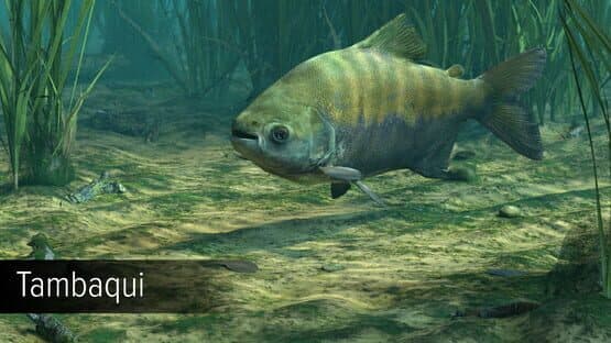 Ultimate Fishing Simulator: Amazon River DLC screenshot 17
